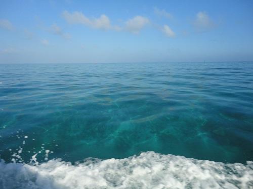 そこに海があるから、新しい海遊び発見！