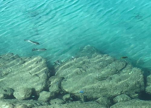 キラキラ光る海の公園！シーパーク北谷