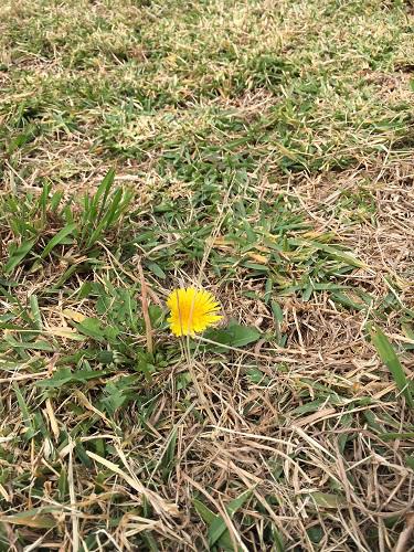 沖縄　親子・子供・子連れで楽しめる公園