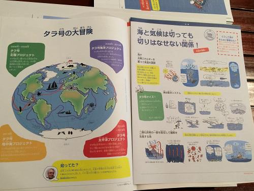 総合案内所のマリンスポーツ、タラ号入港、北谷フィッシャリーナ、海のことならお任せ、SEAPARK北谷で家族でマリンスポーツ