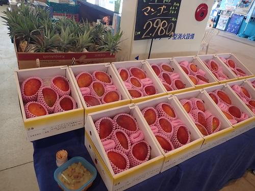 釣ったお魚も捌けます、フィッシング、釣り、魚、刺身、水洗い、野菜安い、ボート、海遊び、山の日、お盆、連休.JPG