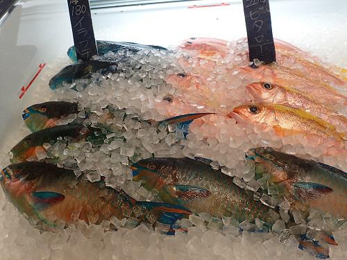 釣ったお魚も捌けます、フィッシング、釣り、魚、刺身、水洗い、野菜安い、ボート、海遊び、山の日、お盆、連休.JPG