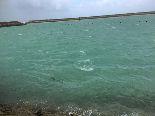 沖縄本島台風１８号の強風、３日目.jpg