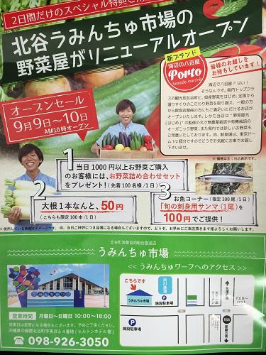 沖縄、北谷フィッシャリーナ、朝満潮、きれい、お魚観察、ソウシハギ、野菜屋、セール、リニューアル、Wi-Fiなし.jpg