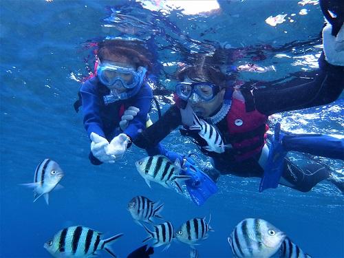 沖縄本島 シュノーケルツアー おすすめ 当日ok 子連れ