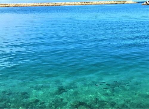 なんで沖縄の海は青いの？青いのは太陽が関係している？ 