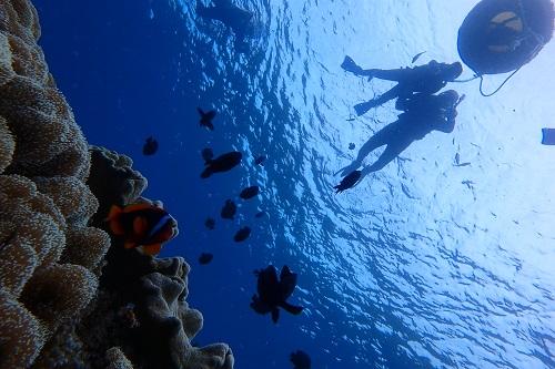 『沖縄本島』北谷で遊ぶなら海遊び『シュノーケル』がおすすめ！