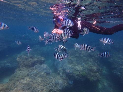 【沖縄本島】人気ホテルから近くの海遊びスポット！