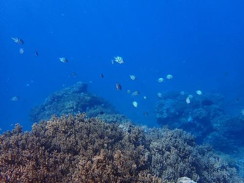 北谷の海は素晴らしい